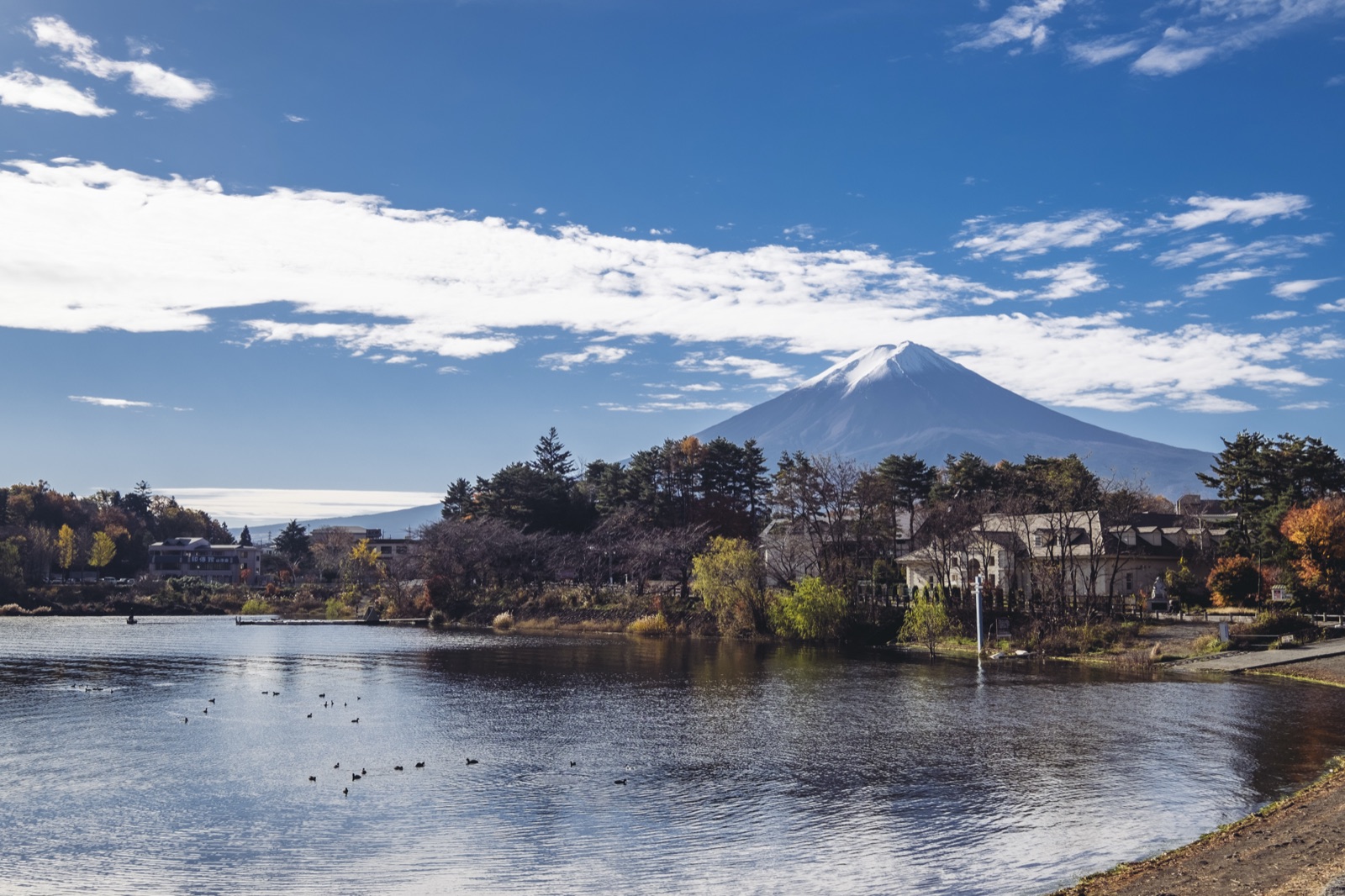 Chile · Puerto Varas